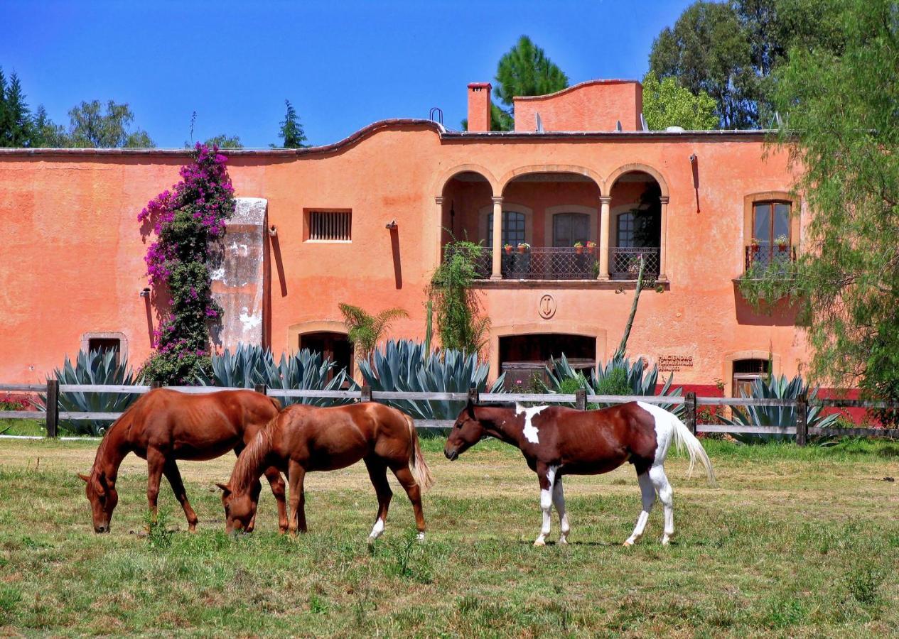 Hacienda Sepulveda Hotel & Spa (Adults Only) Lagos de Moreno Extérieur photo