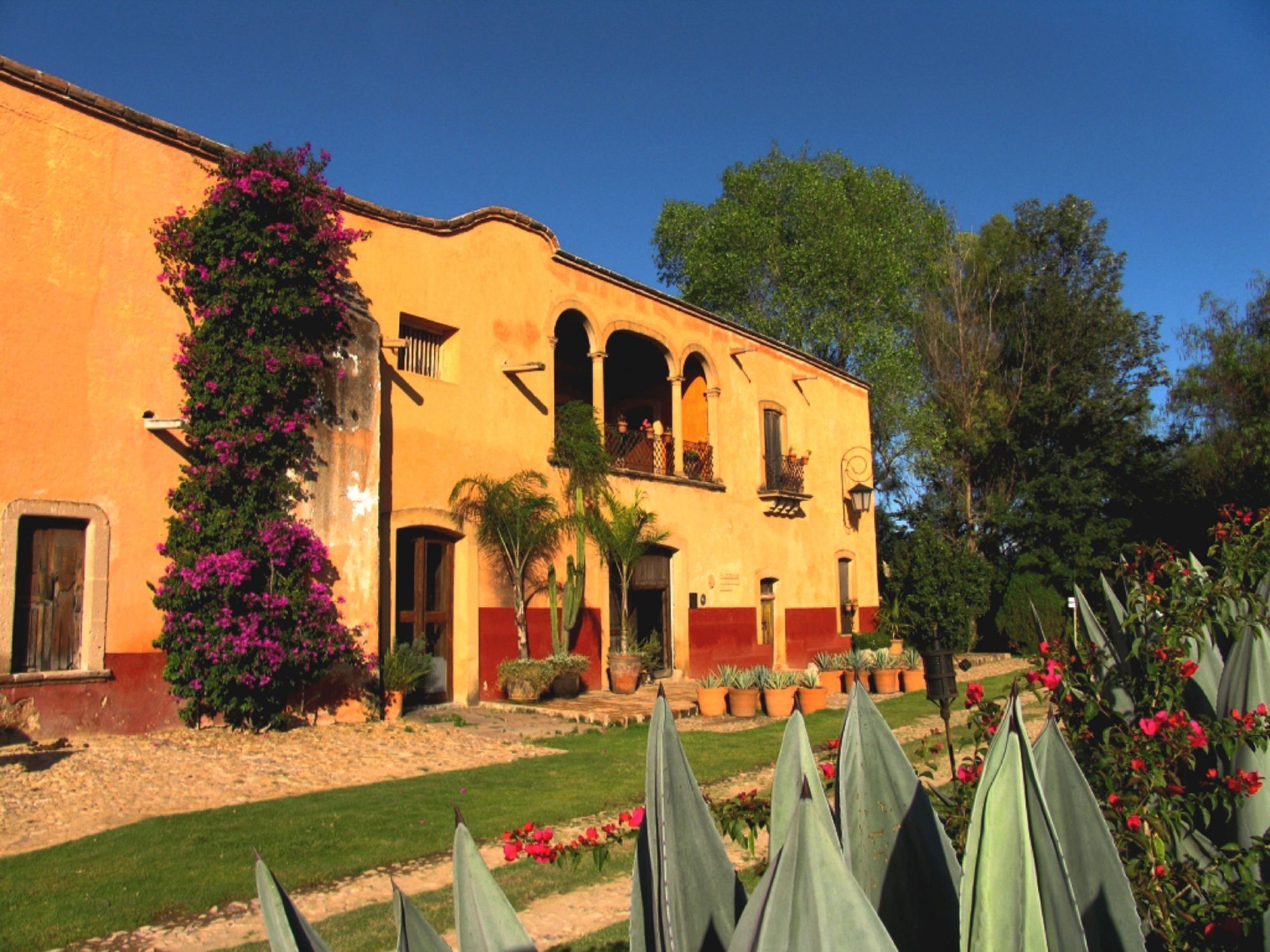 Hacienda Sepulveda Hotel & Spa (Adults Only) Lagos de Moreno Extérieur photo